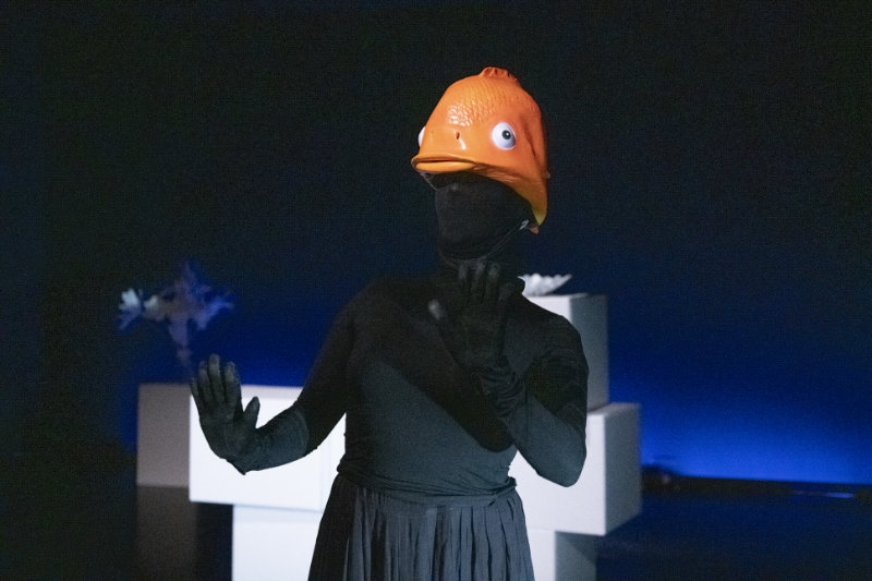 Kasimir%20und%20Kaukasus 6016